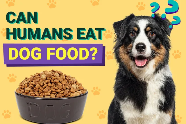 Can a Human Eat Dog Food? Vet-Approved Facts & FAQ