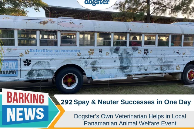 292 Neutering and Spay Successes in One Day: Dogster's Dr. Paola Volunteers in Panama
