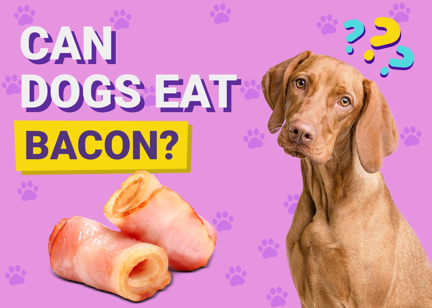 Can Dogs Eat Bacon