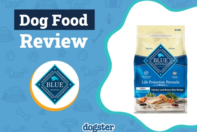 Blue Buffalo Dog Food Review 2026: Pros, Cons & Verdict