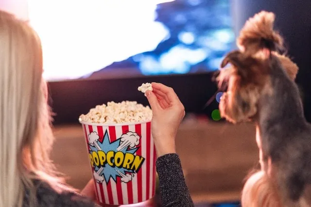 15 Top Movies Dogs Like to Watch with You in 2026