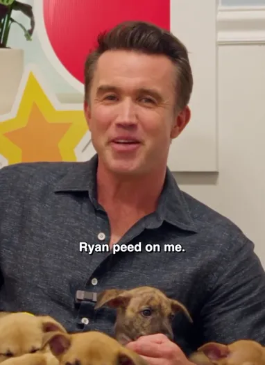 Adopt Ryan Reynolds 1