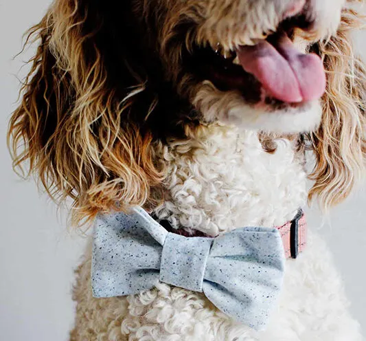 See Kate Sew_How To Make Diy Dog Collar Bows