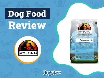 Wysong Dog Food Review 2026: Recalls, Pros & Cons