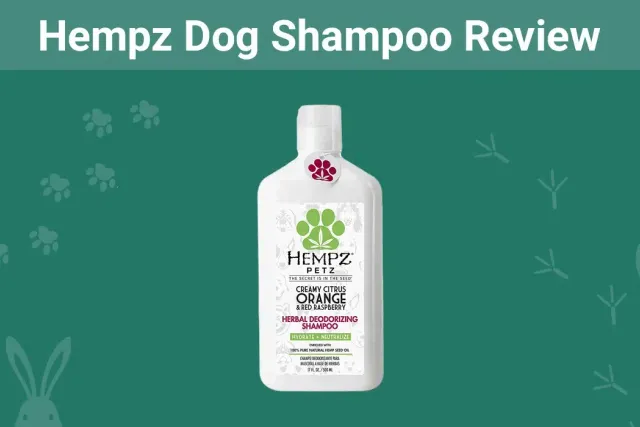 Hempz Dog Shampoo Review 2026: Pros, Cons & Final Verdict