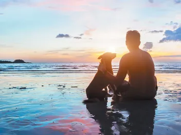 Do Dogs Reincarnate? Exploring the Possibilities