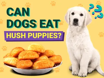 Can Dogs Eat Hush Puppies? Vet-Reviewed Facts, Risks & Alternatives