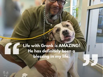 Pets for Patriots: Helping People Save Pets, and Pets Save People - Heroes of the Pet World