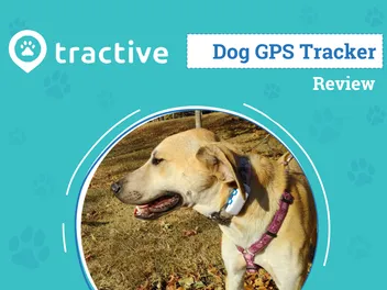 Tractive Dog GPS Tracker 2026 Review: An Expert's Breakdown