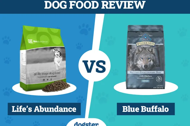 Life's Abundance Dog Food vs. Blue Buffalo 2026: Pros, Cons & What to Choose