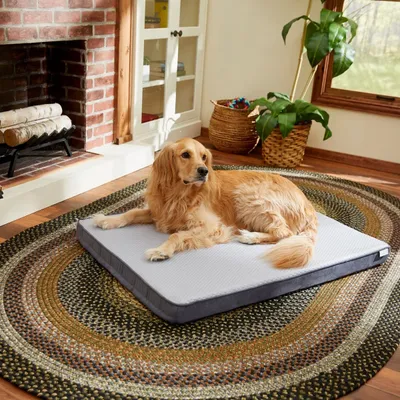Frisco Cooling Orthopedic Pillow Dog Bed
