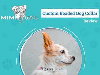 Mimi Green Custom Beaded Friendship Collar Review 2026: A Useful Token For Our Four-Legged BFFs