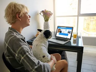 How to Find an Affordable Vet? 11 Vet-Approved Tips