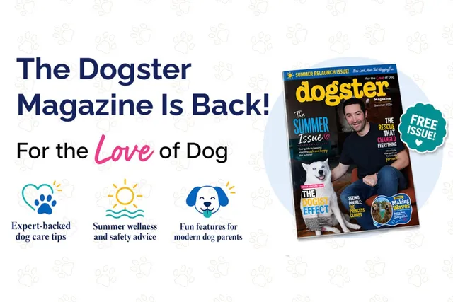 The Dogster Magazine is Officially Back!