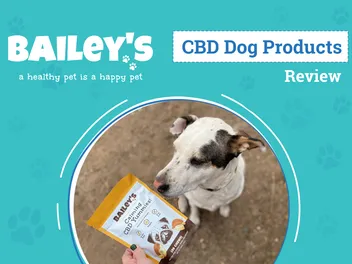 Bailey’s CBD Review 2026: An Expert's Breakdown