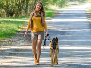 15 Top Dog Breeds for Single Women: Pictures, Info & Temperament