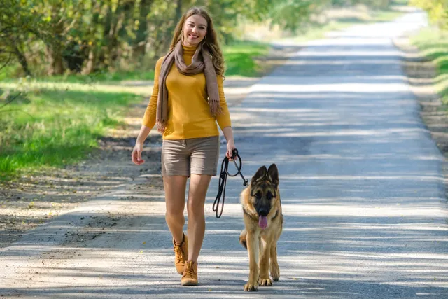 15 Top Dog Breeds for Single Women: Pictures, Info & Temperament