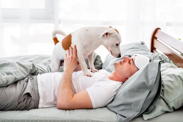 Why Does My Dog Stand on Me? 12 Vet-Approved Reasons & What to Do