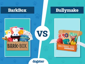 BarkBox vs Bullymake (2026 Comparison): Which One is Better?