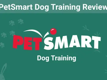 PetSmart Dog Training Review 2026: Costs, Effectiveness, and FAQs