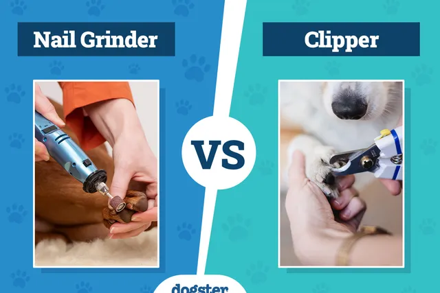 Dog Nail Grinder vs. Clipper: Which Is Better? 2026 Comparison Guide