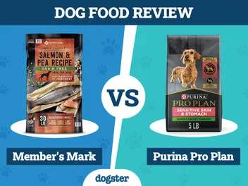 Member’s Mark vs. Purina Pro Plan Dog Food - 2026 Comparison, Pros & Cons