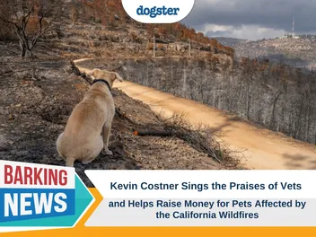 Kevin Costner Sings the Praises of Vets and Helps Raise Money for Pets Affected by the California Wildfires