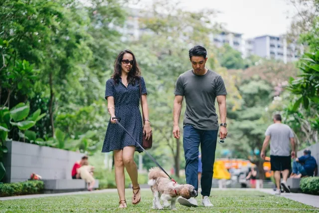 How to Train Your Dog To Be Calm in Public: 10 Vet-Approved Tips