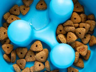 Slow Feeder Dog Bowls: Vet-Explained Benefits & Risks