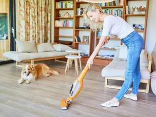6 Vacuuming Tips With Dogs: Keeping Your House Clean With a Canine