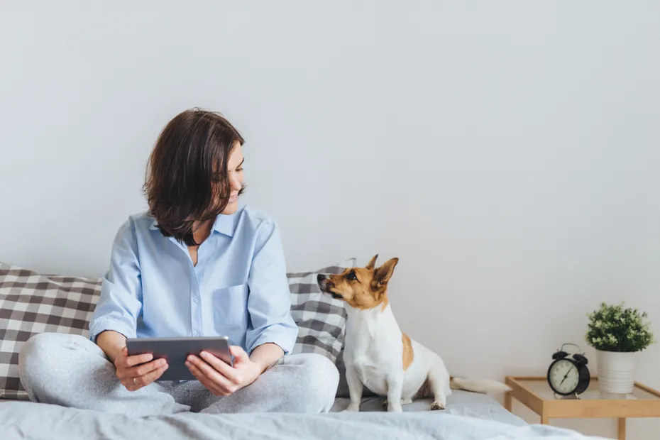 jack russell terrier sitting beside their owner on a bed
