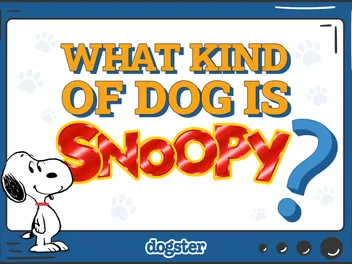 What Kind of Dog Is Snoopy? Famous Comic Pups