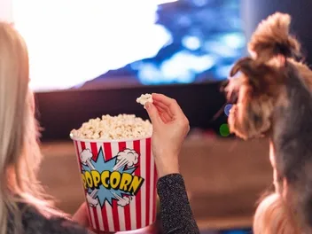 15 Top Movies Dogs Like to Watch with You in 2026