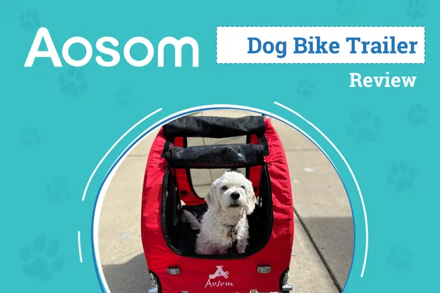 Aosom Elite II Dog Bicycle Trailer Review 2026: An Expert's Breakdown