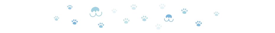 divider dog paws 4 oct 2024