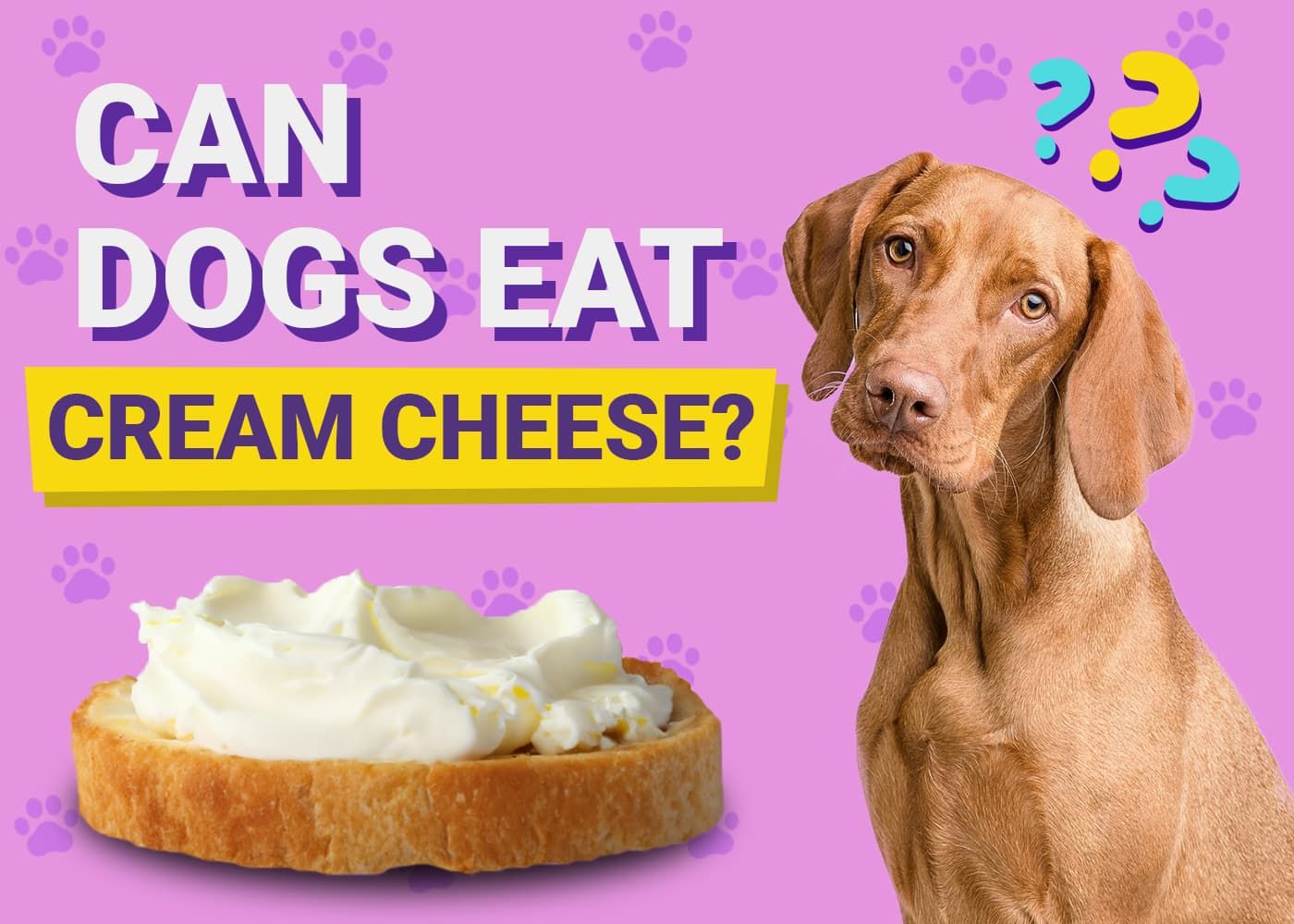 Can Dogs Eat Cream Cheese