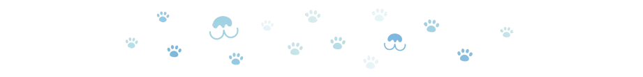 divider dog paws 4 oct 2024