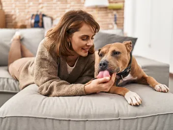 Why Dogs Are Better Than Cats: 14 Reasons to Love Our Pups