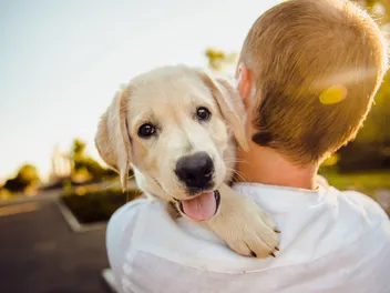 8 Tips to Find Pet Friendly Housing for You and Your Pup (2026 Guide)