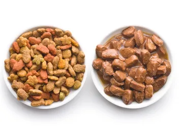 7 Best Wet Dog Foods to Mix With Dry in 2026 - Reviews & Top Picks