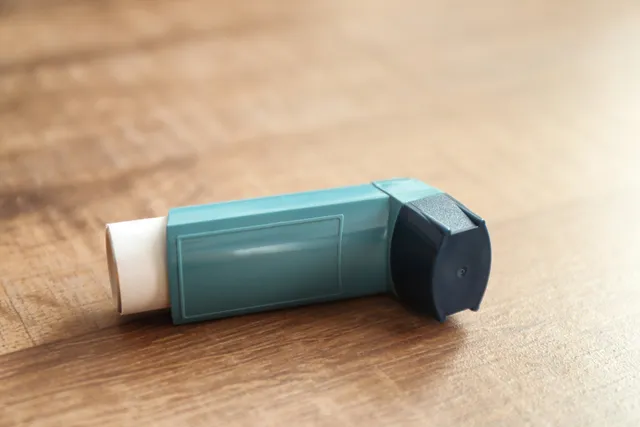 My Dog Chewed My Inhaler, Should I Worry? Our Vet Explains What to Do