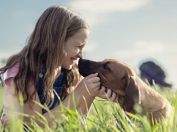 Are Rhodesian Ridgebacks Good with Kids? History, Tips & FAQ