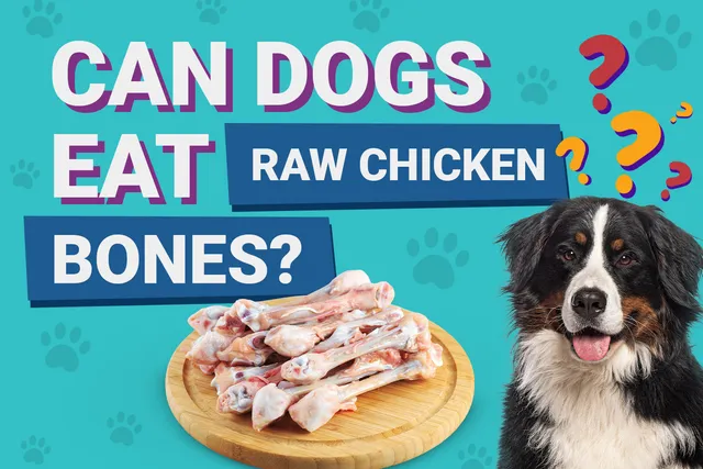 Can Dogs Eat Raw Chicken Bones? Our Vet Explains Nutrition Facts & Info