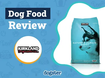 Kirkland Nature's Domain Dog Food Review 2026: Recalls, Pros & Cons