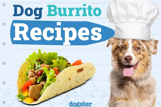 5 Dog-Friendly Burrito Recipes You Can Make Today (Vet Approved)
