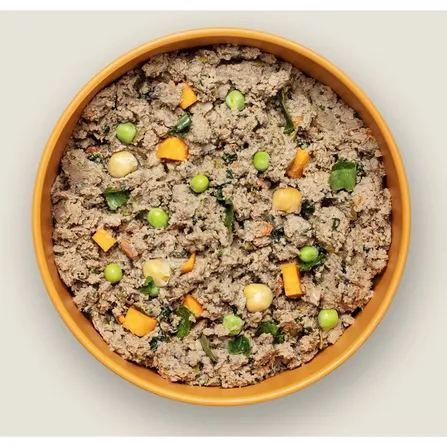 Ollie Beef Recipe Fresh Dog Food Subscription