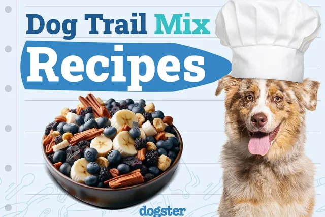 Dog trail mix recipes