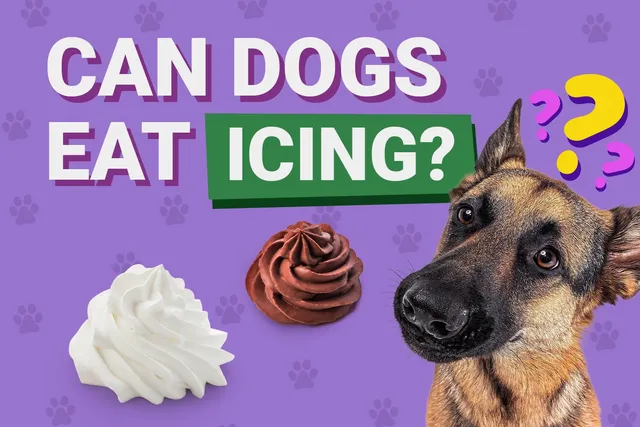 Can Dogs Eat Icing? Vet-Reviewed Facts