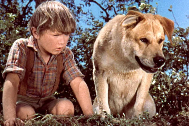 What Breed of Dog Was Old Yeller? Famous Movie Dogs