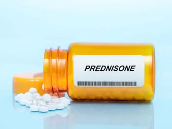 What Are the Worst Side Effects of Prednisone in Dogs? Vet-Verified Concerns